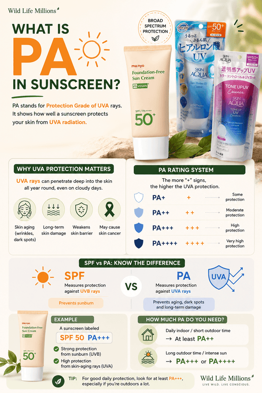 Infographic explaining SPF and PA in sunscreen Explained, highlighting UVA protection and rating system.