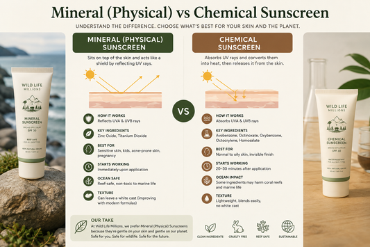 Difference between Mineral / Physical and Chemical Sunscreens