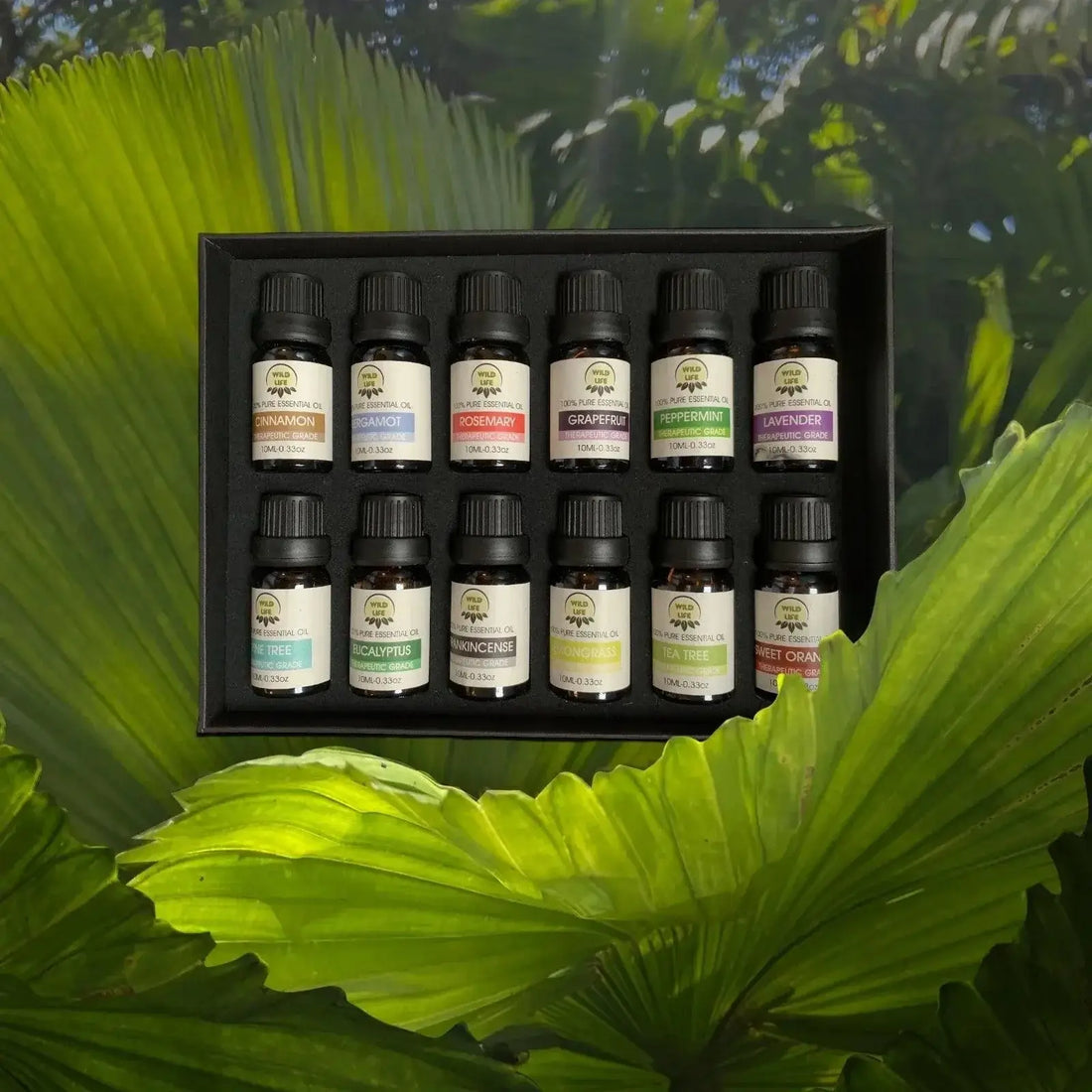 5 Essential Oils for Immune System Support - Wild Life Millions