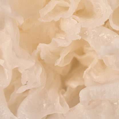 KAINE Vegane Kollagen-Verjüngungscreme